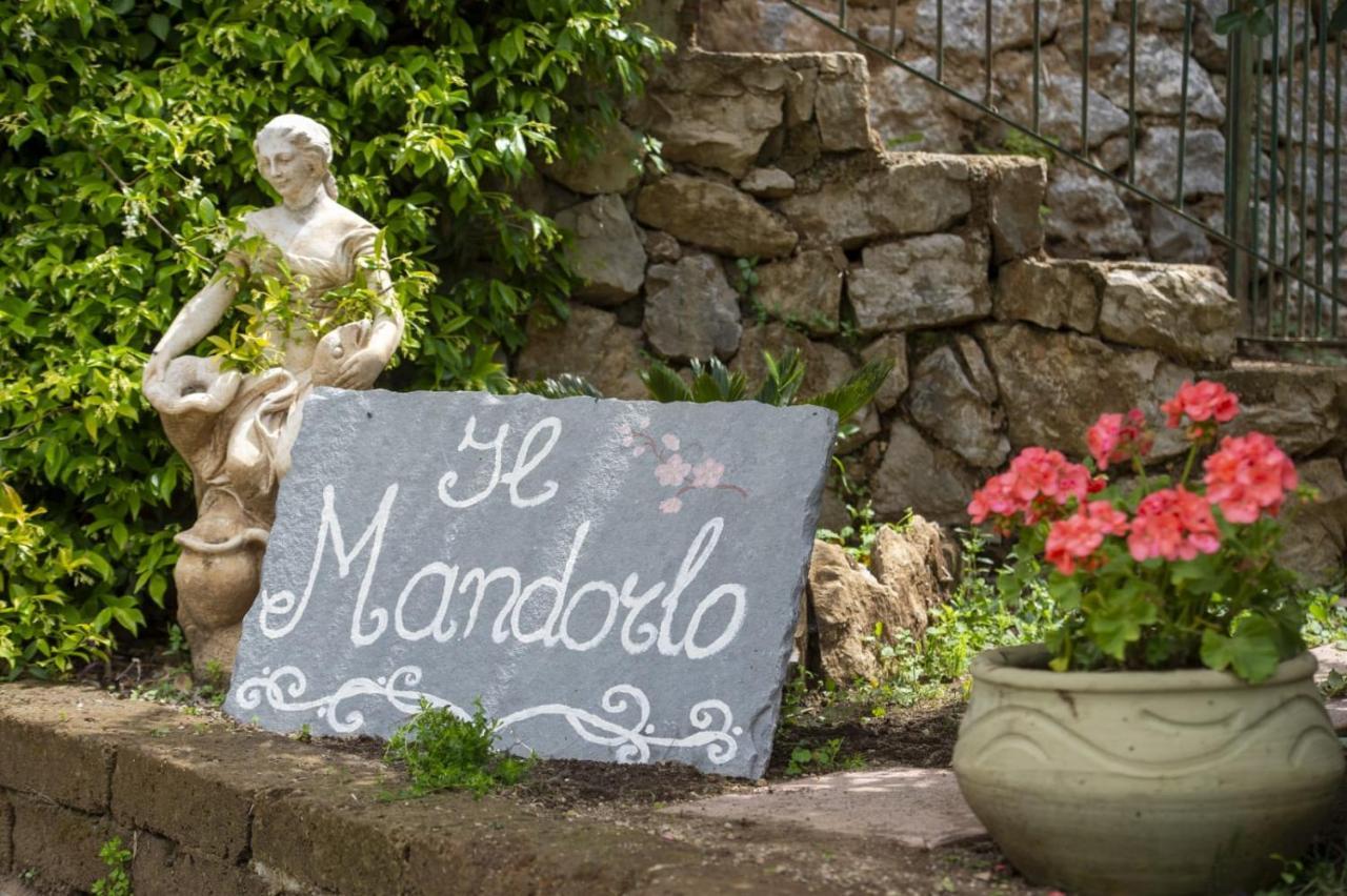 Il Mandorlo Bed & Breakfast Tramonti Luaran gambar