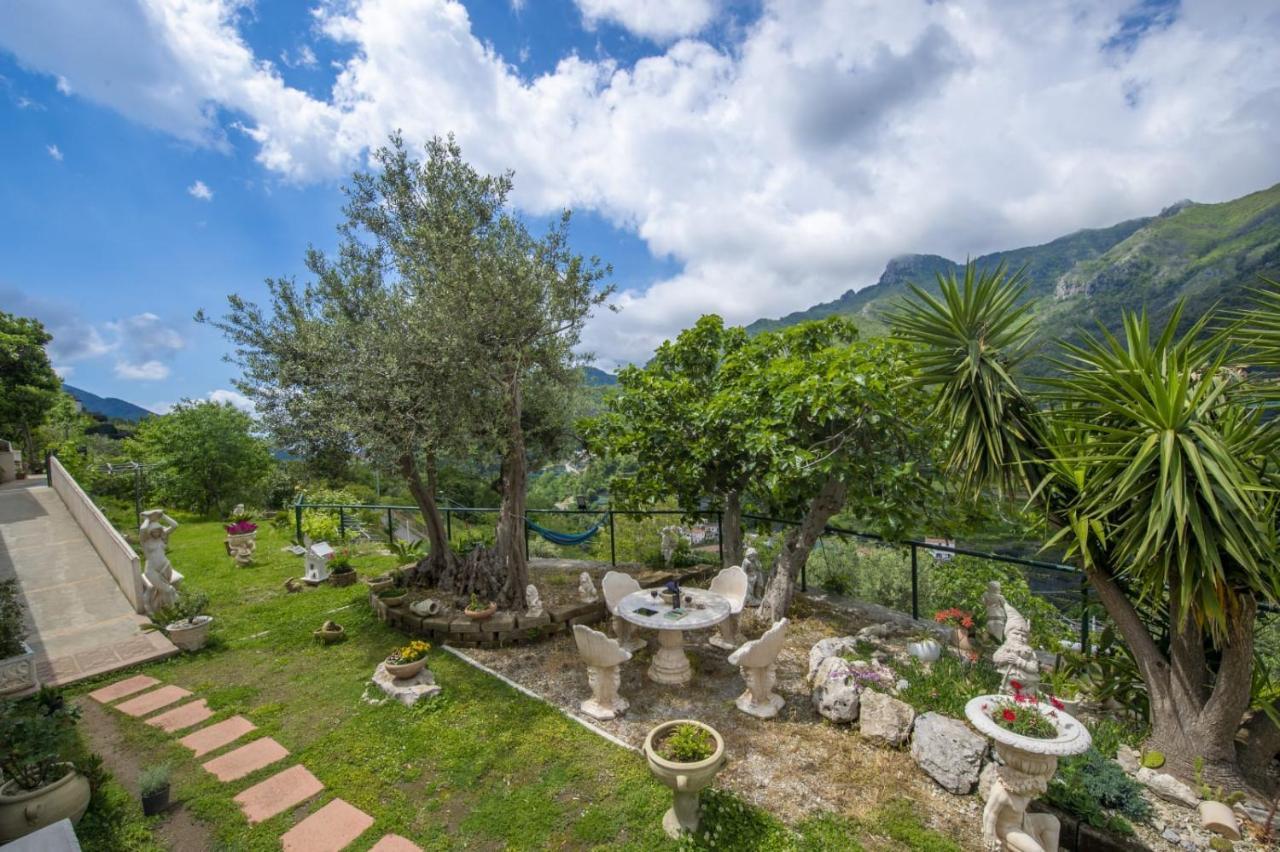 Il Mandorlo Bed & Breakfast Tramonti Luaran gambar